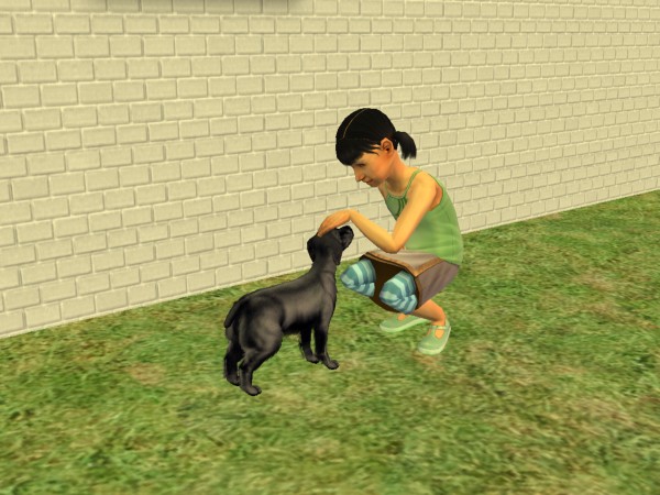 snapshot_63532cb0_c354de50