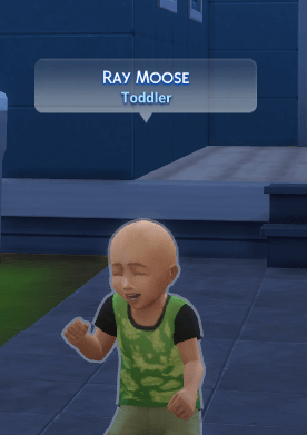 i am ray the moose