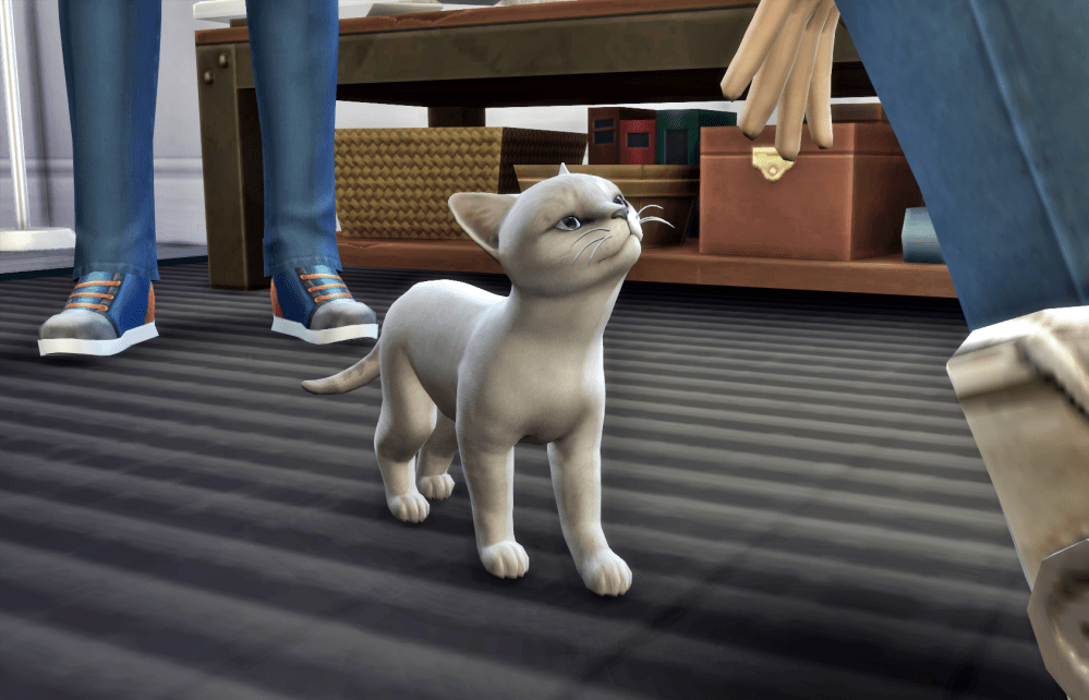 12-07-17_8-36-49 PM